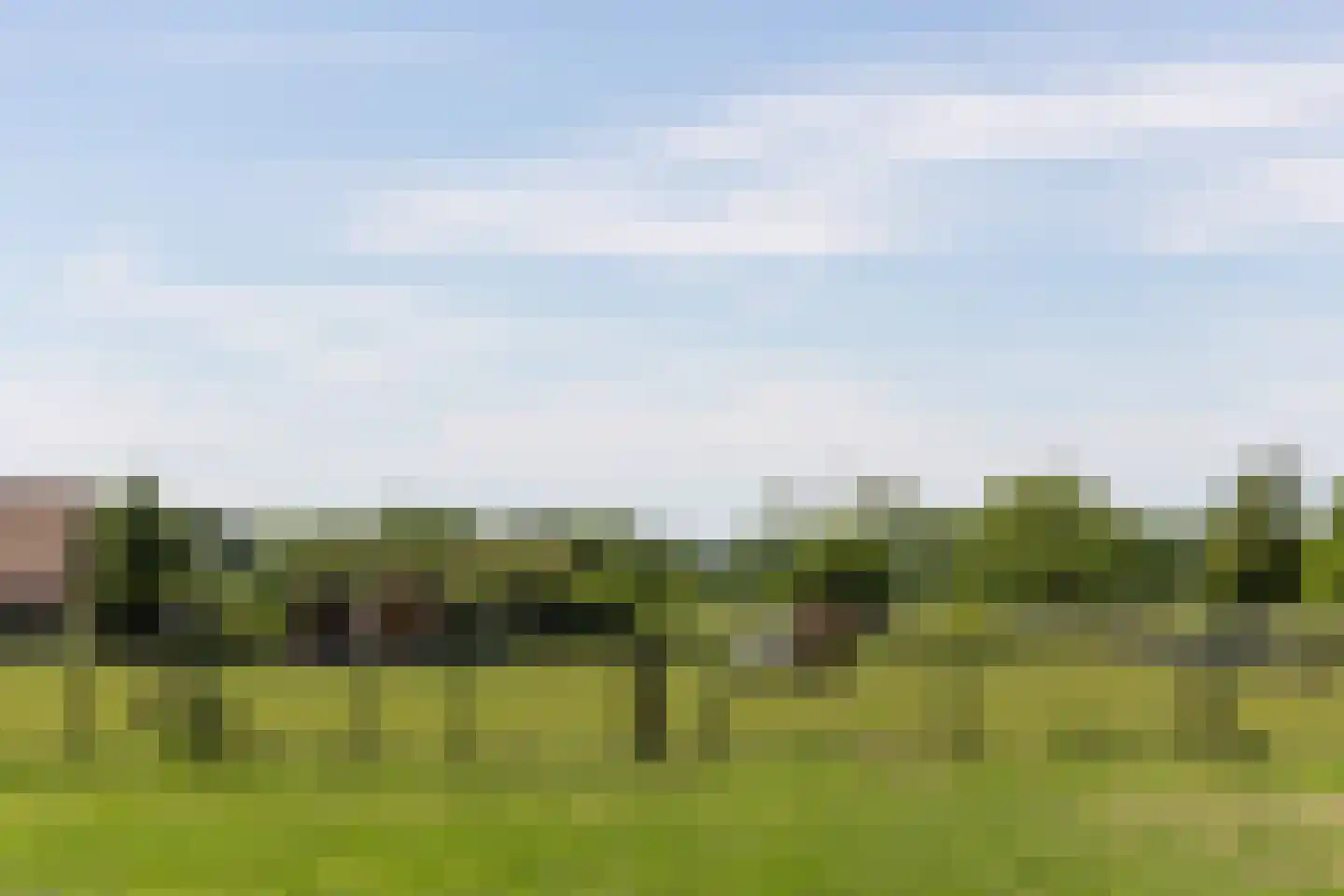 Pandelaar 14 Gemert thumbnail 30