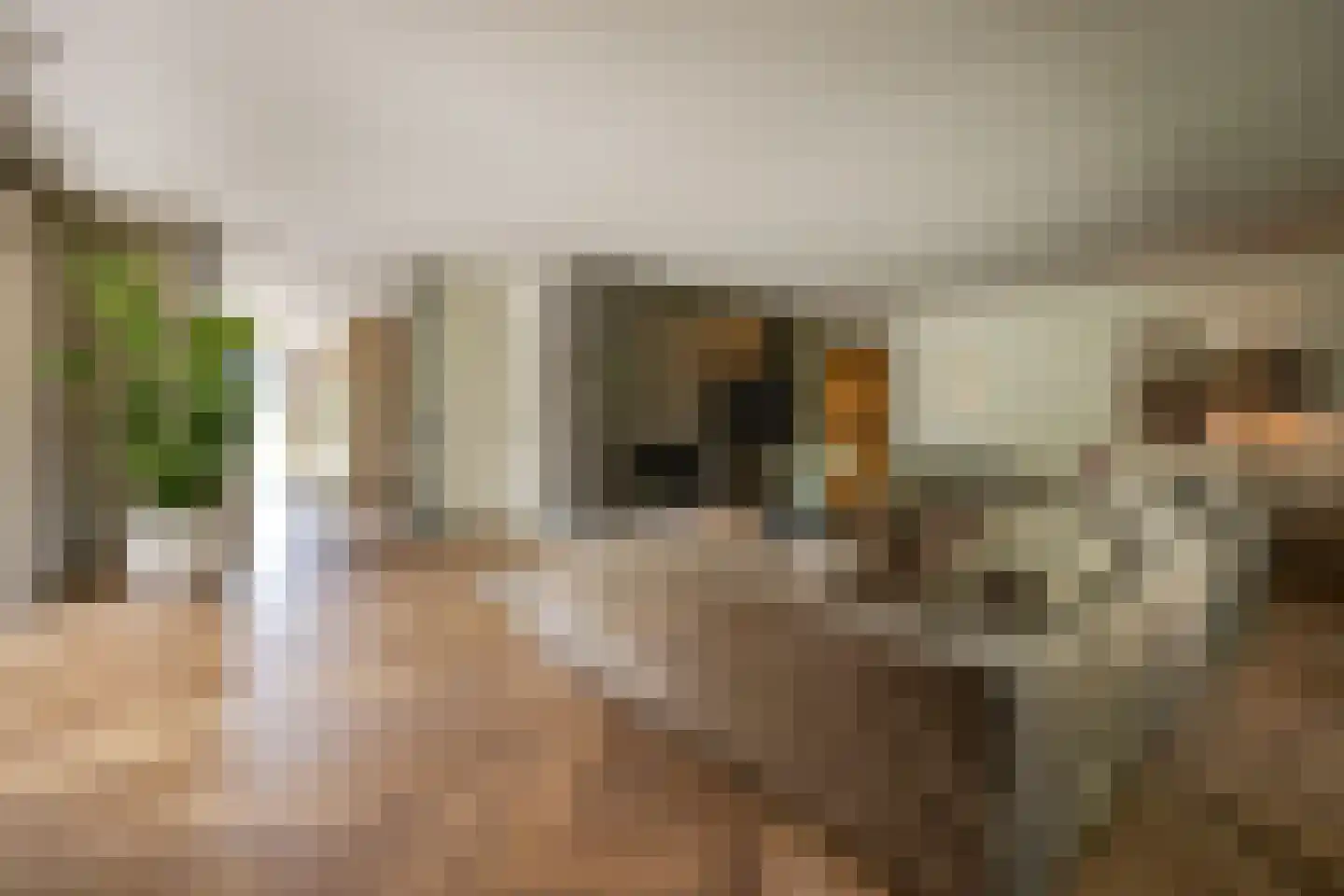 Pandelaar 14 Gemert thumbnail 5