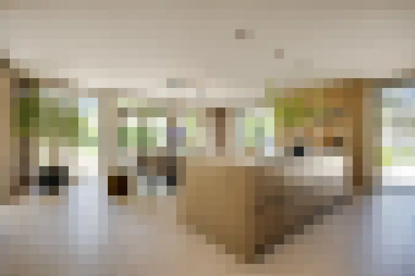Pandelaar 14 Gemert thumbnail 7