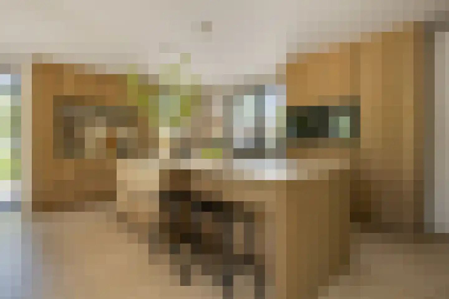 Pandelaar 14 Gemert thumbnail 9