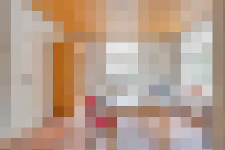 Pandelaar 50 Gemert thumbnail 15