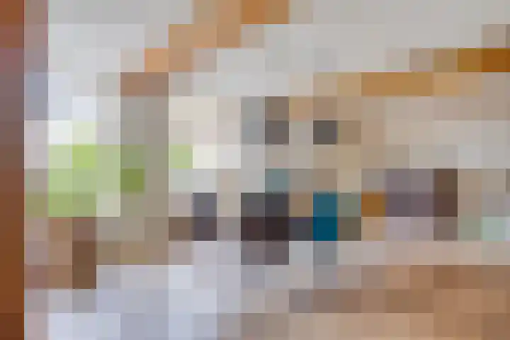 Pandelaar 50 Gemert thumbnail 27