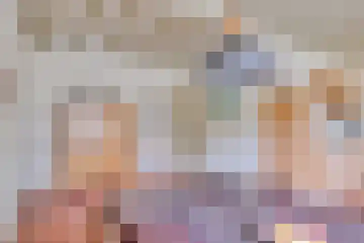Pandelaar 50 Gemert thumbnail 30
