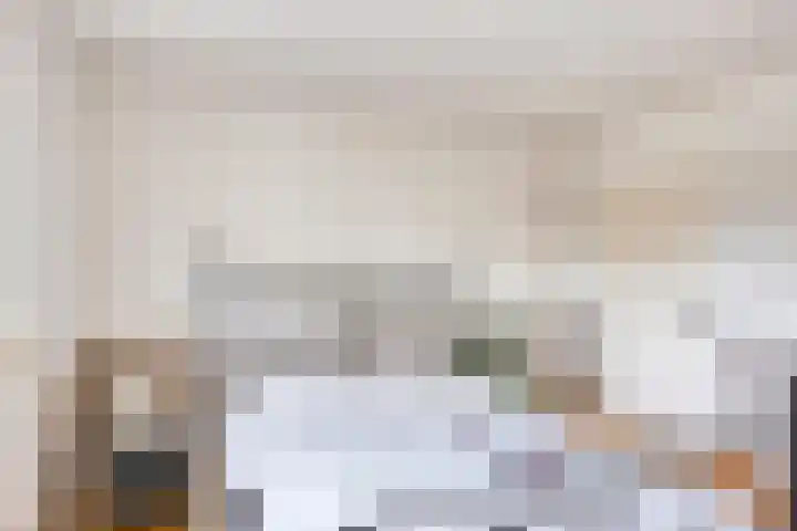 Pandelaar 50 Gemert thumbnail 42