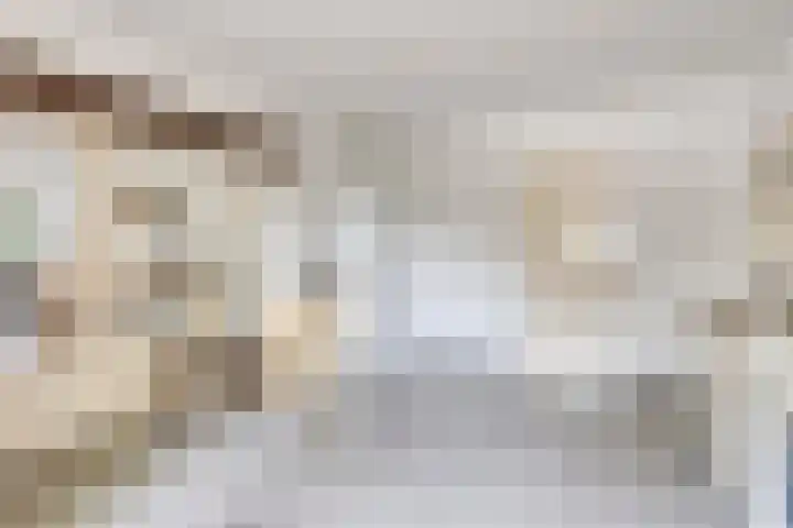 Pandelaar 50 Gemert thumbnail 46