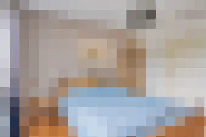 Pandelaar 50 Gemert thumbnail 48