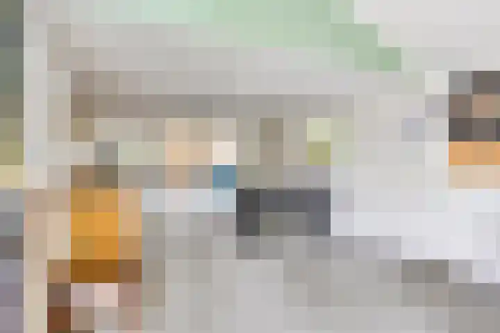 Pandelaar 50 Gemert thumbnail 49