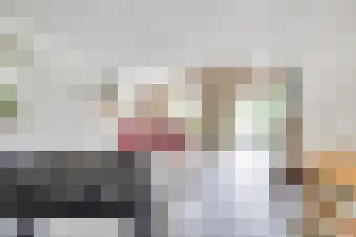 Pandelaar 50 Gemert thumbnail 50