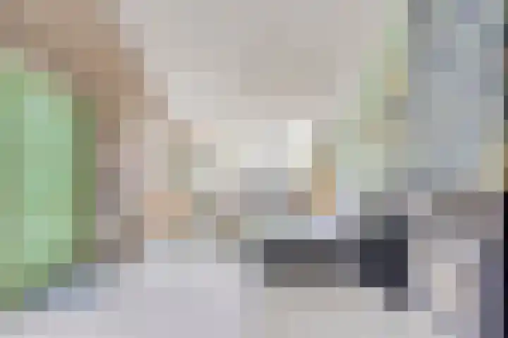 Pandelaar 50 Gemert thumbnail 52