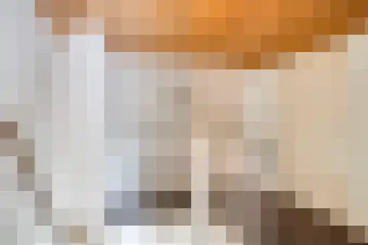 Pandelaar 50 Gemert thumbnail 54