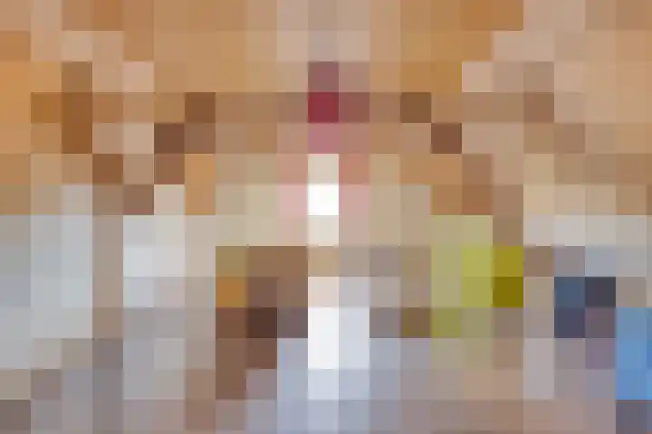 Pandelaar 50 Gemert thumbnail 56