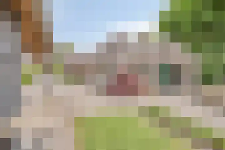 Pandelaar 50 Gemert thumbnail 6