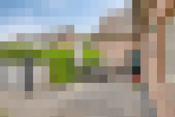 Pandelaar 50 Gemert thumbnail 62