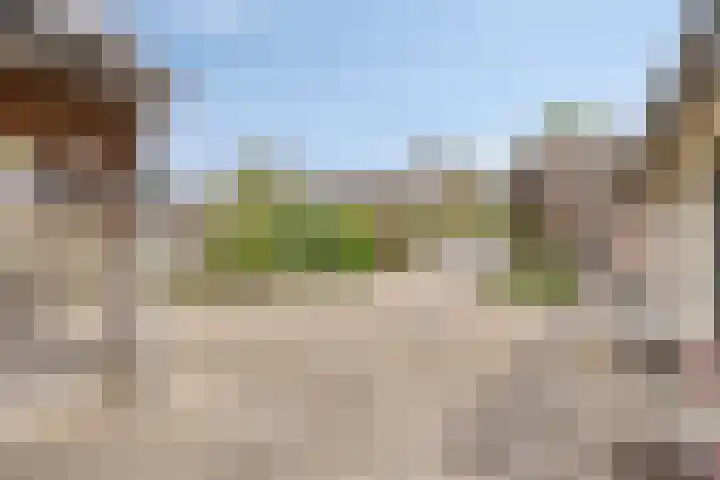 Pandelaar 50 Gemert thumbnail 64