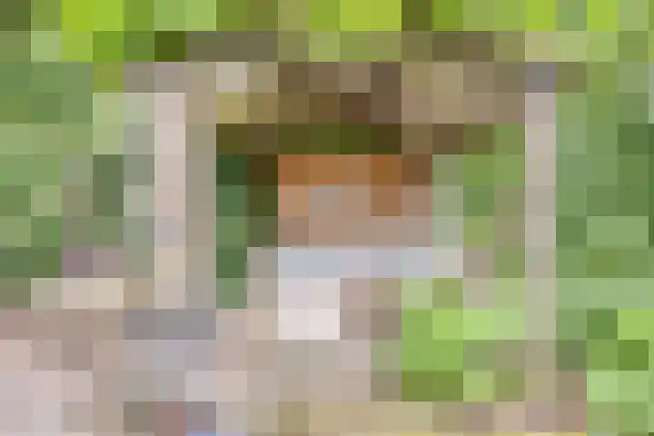 Pandelaar 50 Gemert thumbnail 67