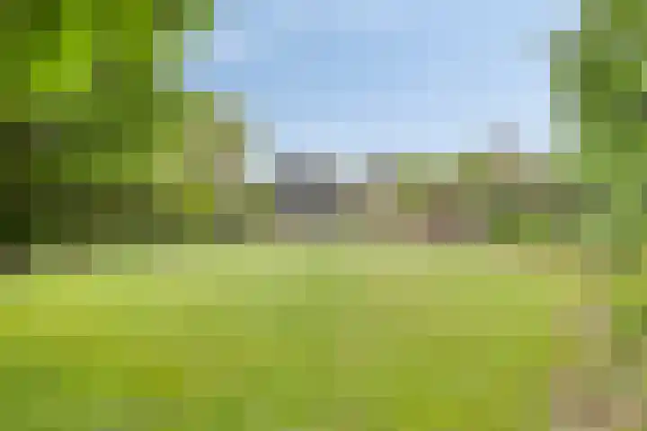 Pandelaar 50 Gemert thumbnail 70