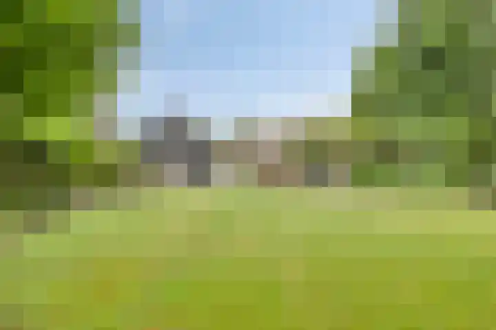 Pandelaar 50 Gemert thumbnail 71