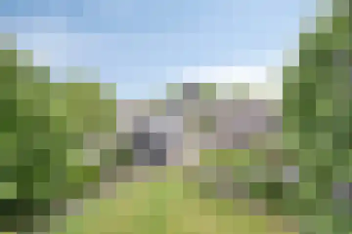 Pandelaar 50 Gemert thumbnail 77