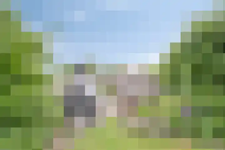 Pandelaar 50 Gemert thumbnail 78