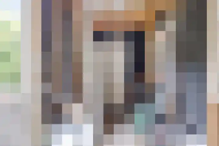 Pandelaar 50 Gemert thumbnail 79