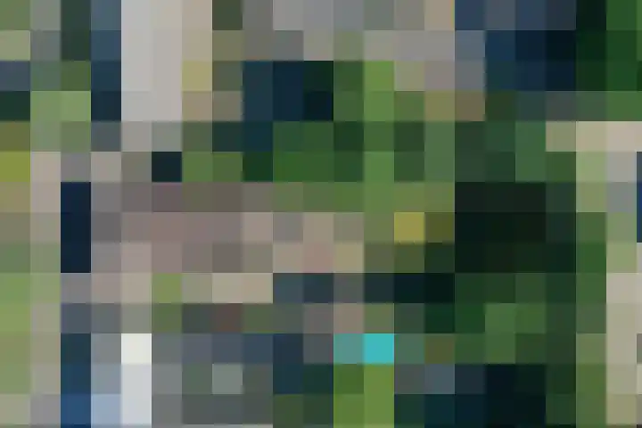 Pandelaar 50 Gemert thumbnail 85