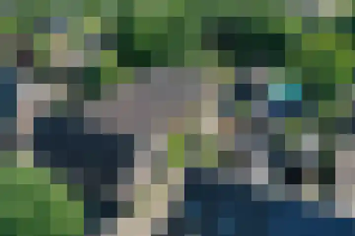 Pandelaar 50 Gemert thumbnail 89