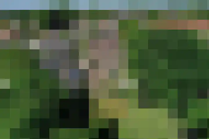 Pandelaar 50 Gemert thumbnail 90