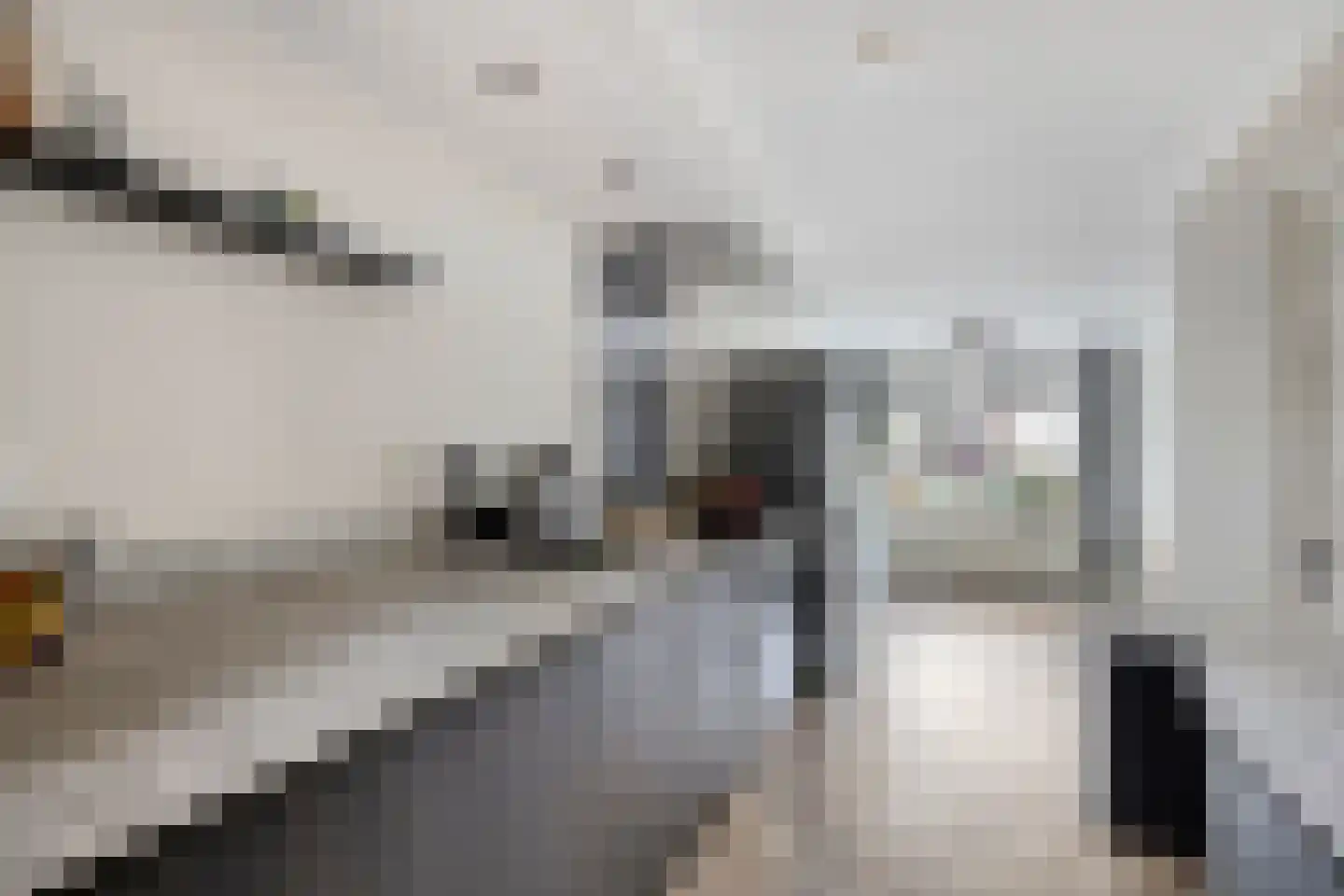 Pandelaar 59 Gemert thumbnail 10