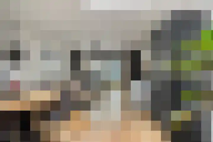 Pandelaar 59 Gemert thumbnail 11