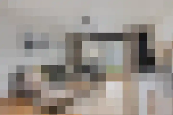 Pandelaar 59 Gemert thumbnail 12