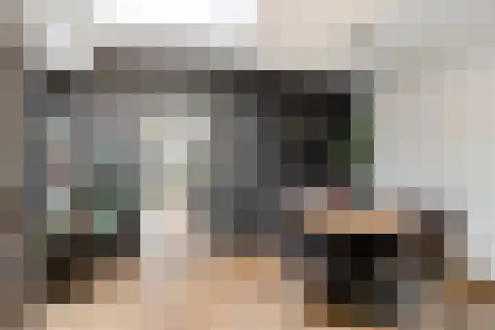 Pandelaar 59 Gemert thumbnail 13