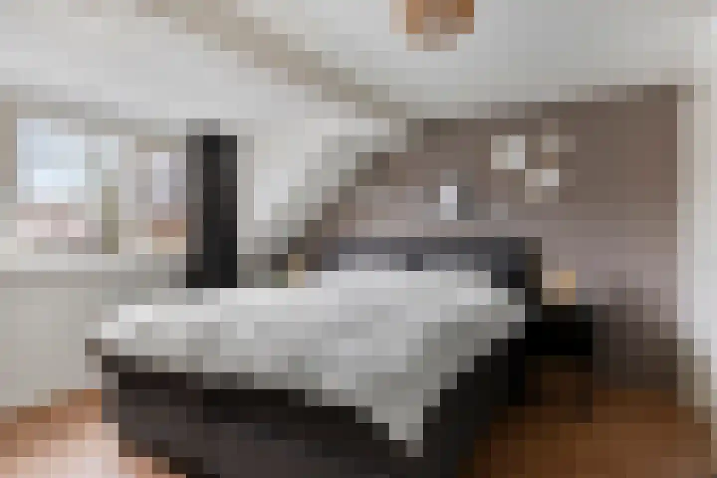 Pandelaar 59 Gemert thumbnail 17