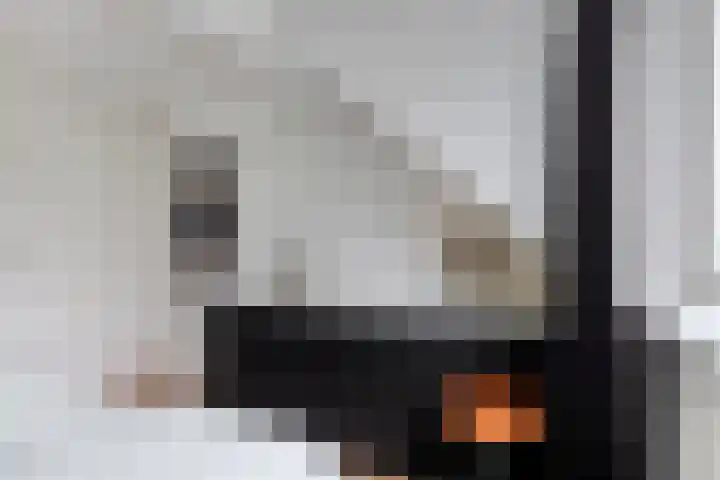 Pandelaar 59 Gemert thumbnail 18