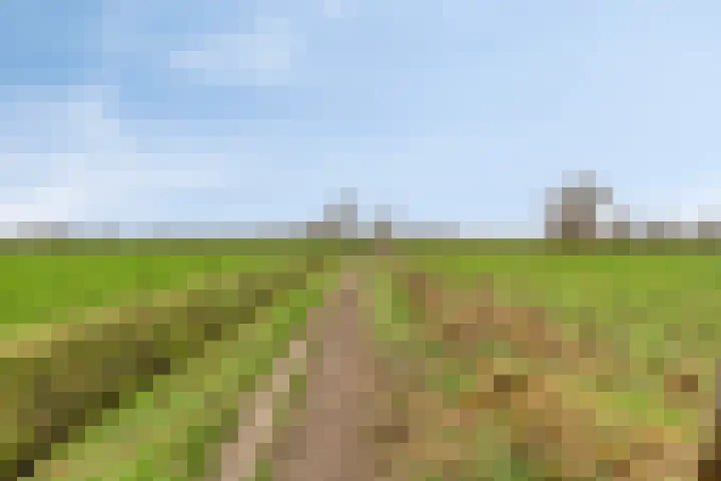 Pandelaar 59 Gemert thumbnail 24