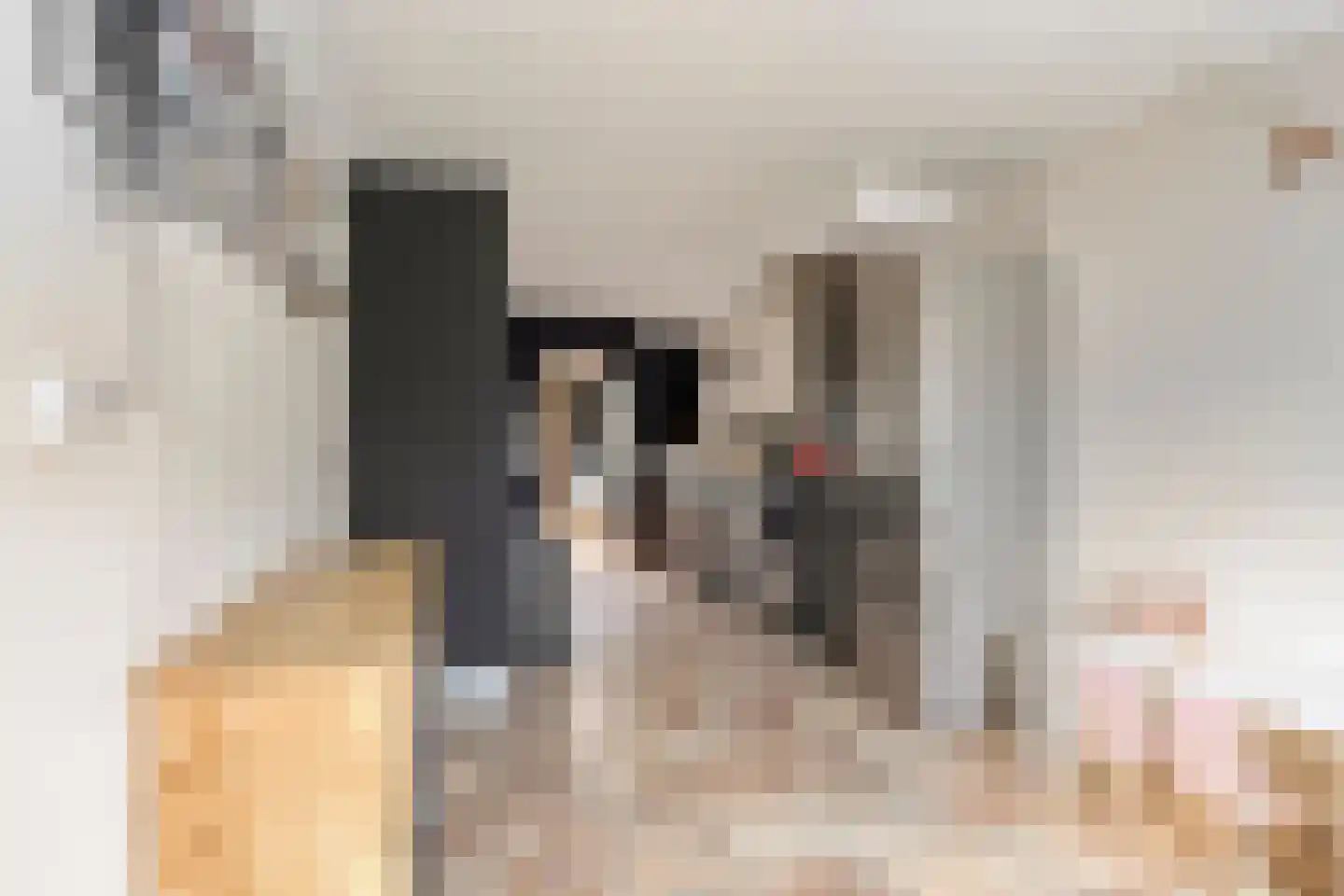 Pandelaar 59 Gemert thumbnail 6