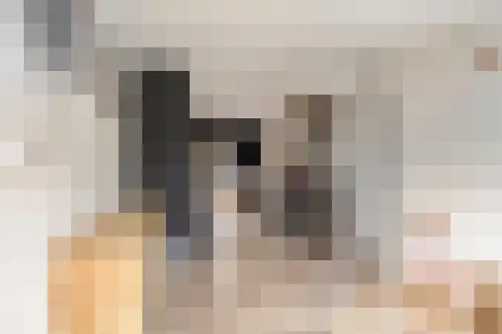 Pandelaar 59 Gemert thumbnail 6