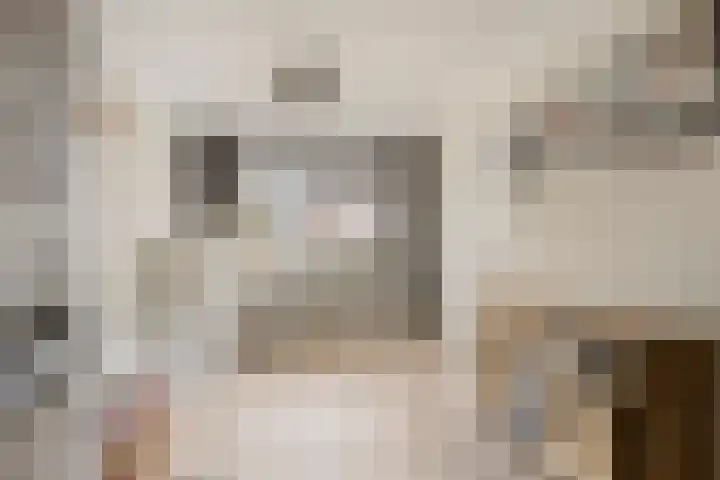 Pandelaar 59 Gemert thumbnail 7