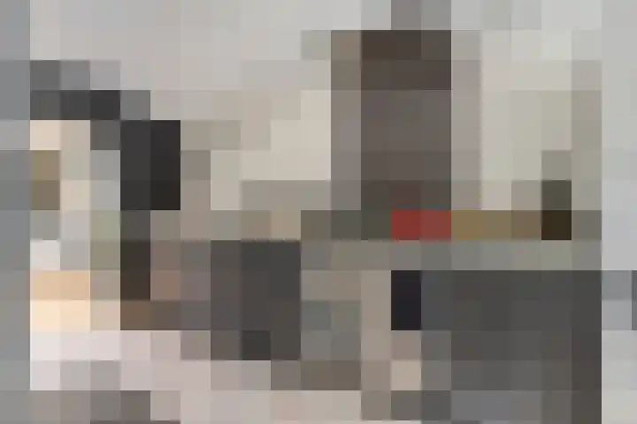 Pandelaar 59 Gemert thumbnail 9