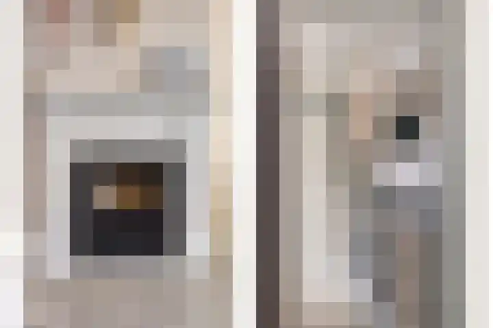 Pandelaar 61 Gemert thumbnail 10