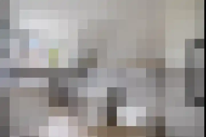 Pandelaar 61 Gemert thumbnail 21
