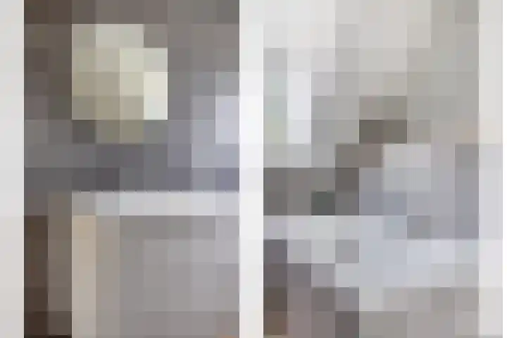 Pandelaar 61 Gemert thumbnail 23