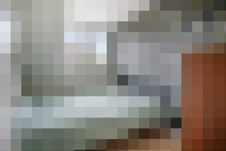 Pandelaar 61 Gemert thumbnail 24