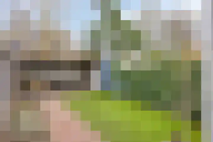 Pandelaar 61 Gemert thumbnail 28