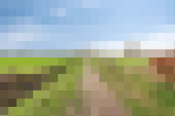 Pandelaar 61 Gemert thumbnail 31