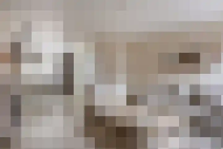 Pandelaar 61 Gemert thumbnail 5