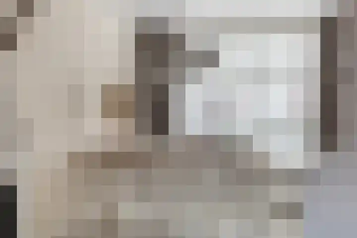 Pandelaar 61 Gemert thumbnail 8