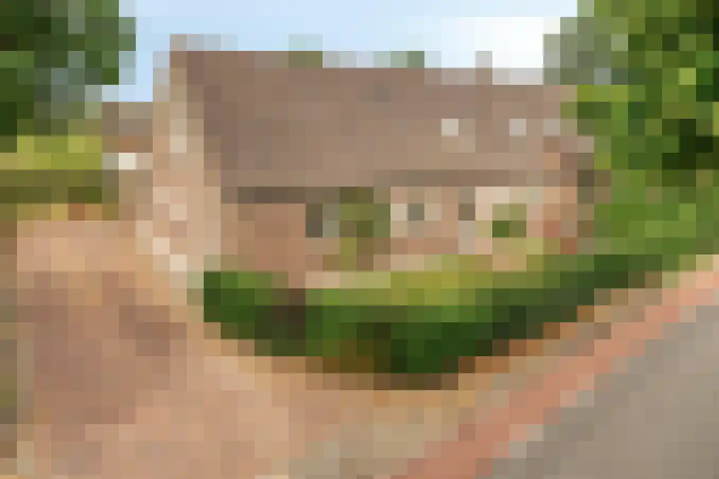 Pandelaar 77 in Gemert