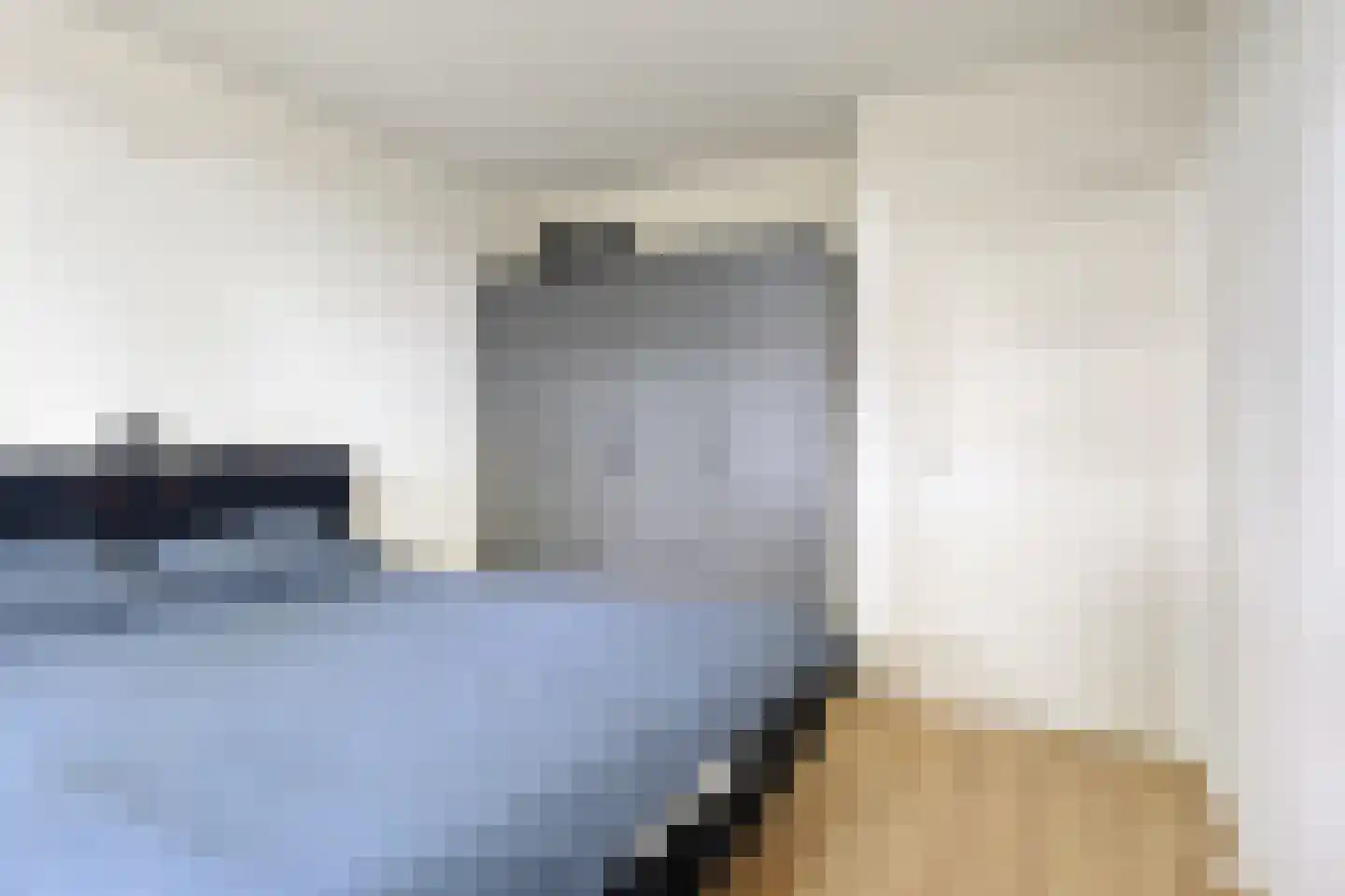 Pandelaar 77 Gemert thumbnail 12