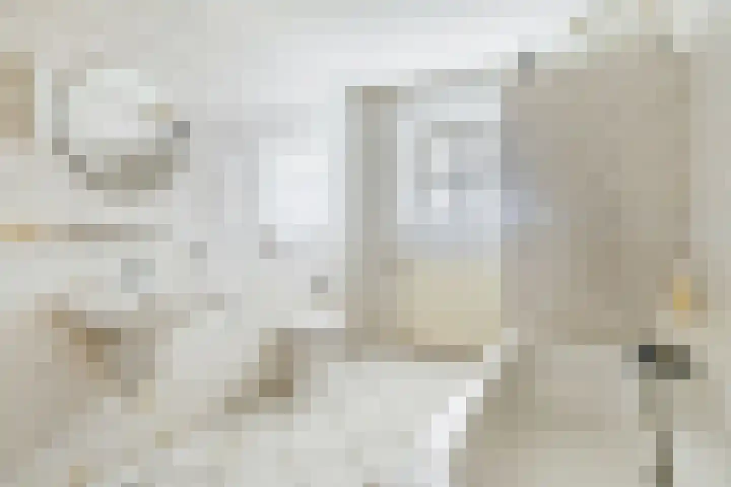 Pandelaar 77 Gemert thumbnail 13