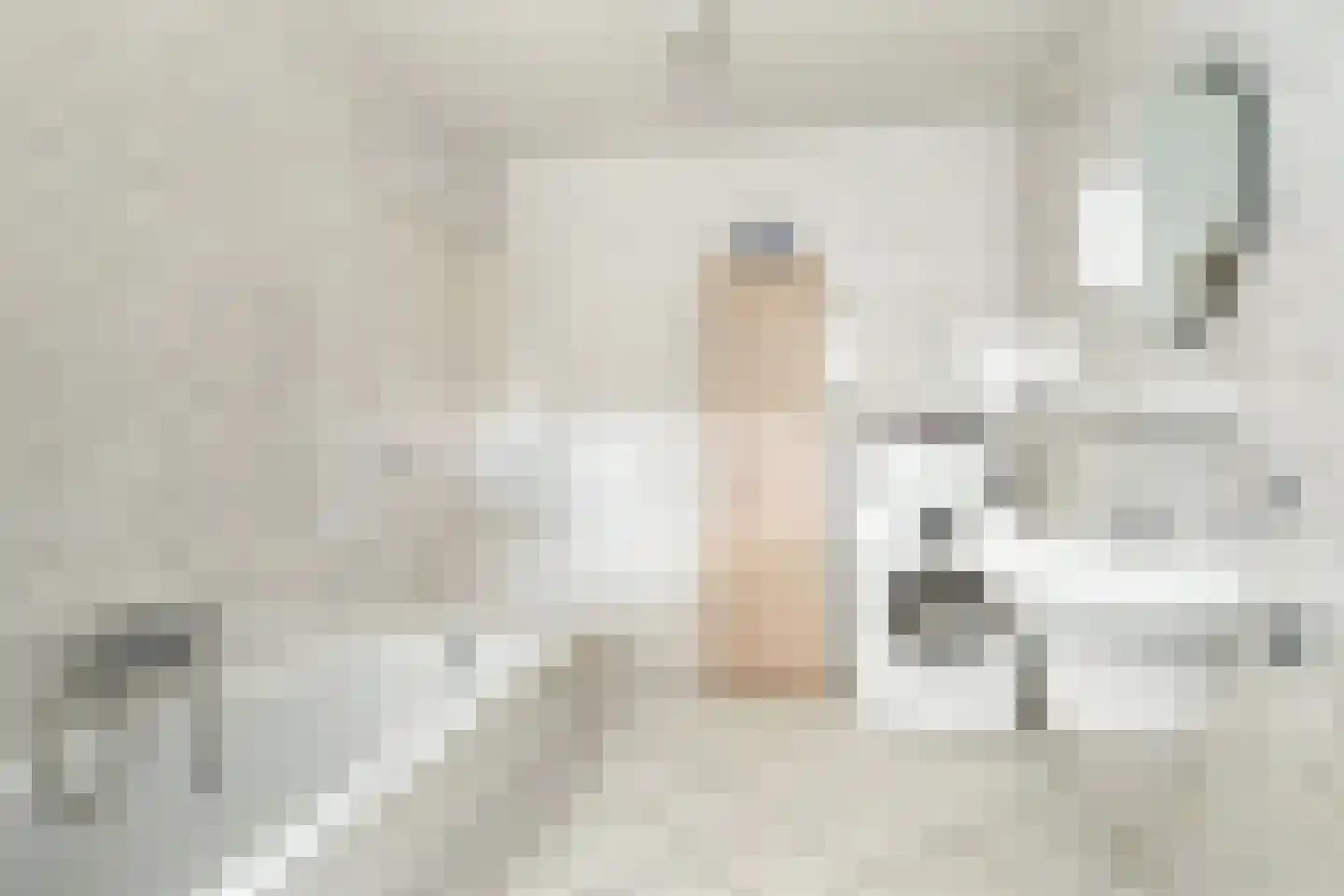 Pandelaar 77 Gemert thumbnail 14